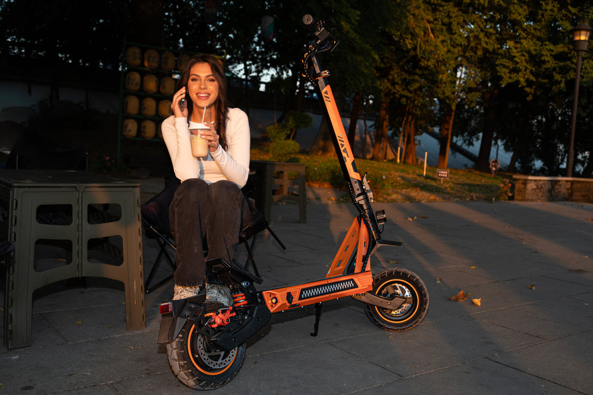 Electric Scooter