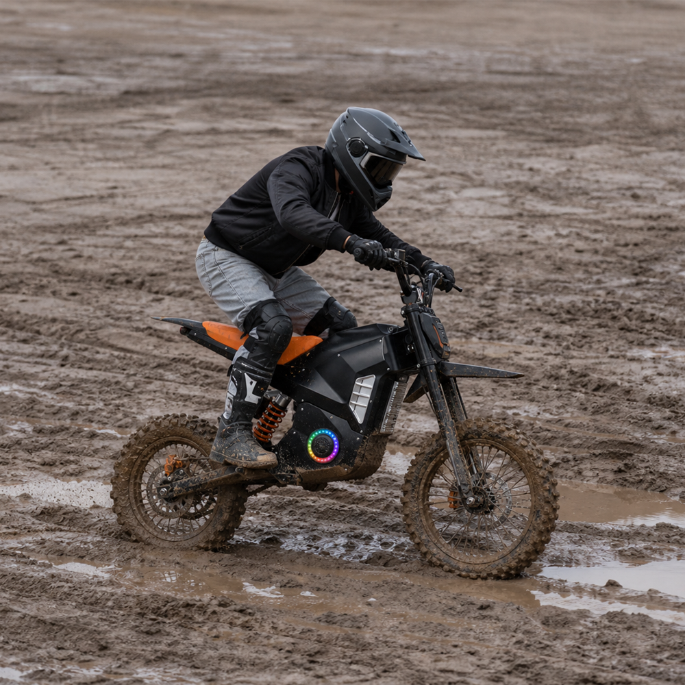 Electric motorcycle