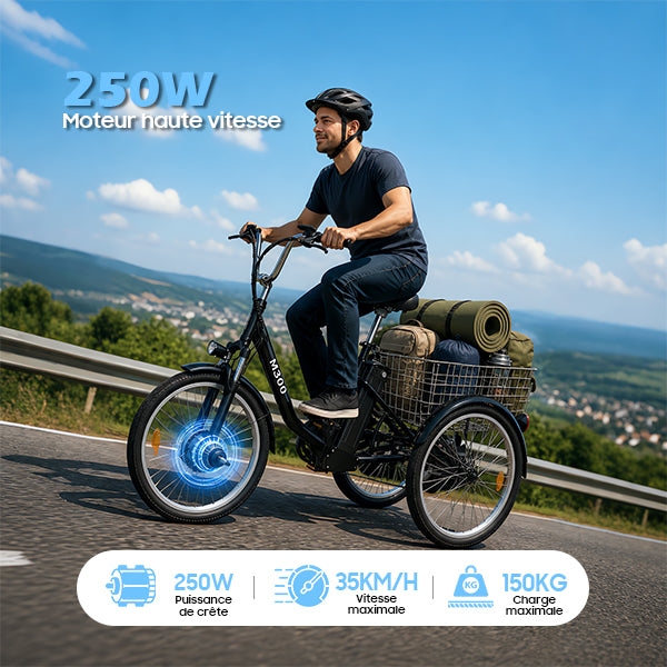 TUNO M300 Electric Tricycle | 3-Wheel Cargo E-Trike, 350W, 40-50 km Range