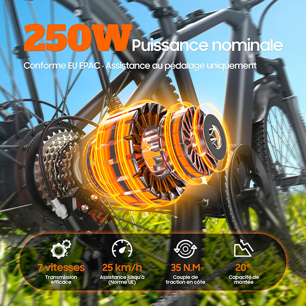 TUNO Electric Bike L26
