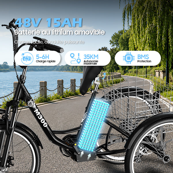 TUNO M300 Electric Tricycle | 3-Wheel Cargo E-Trike, 350W, 40-50 km Range