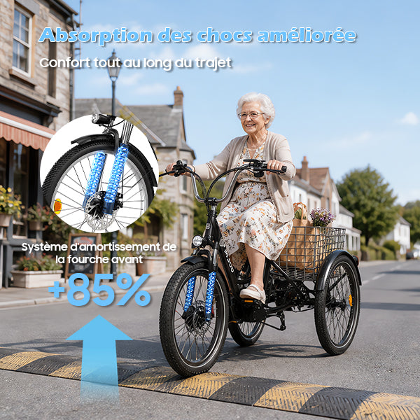 TUNO M300 Electric Tricycle | 3-Wheel Cargo E-Trike, 350W, 40-50 km Range