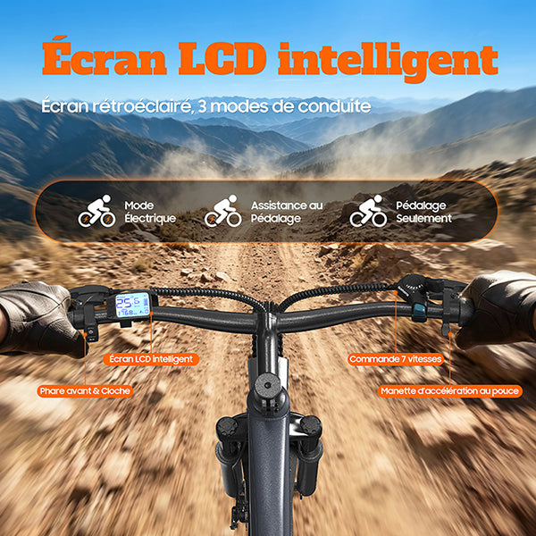 TUNO Electric Bike L26
