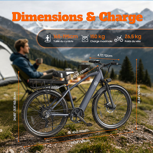 TUNO Electric Bike L26