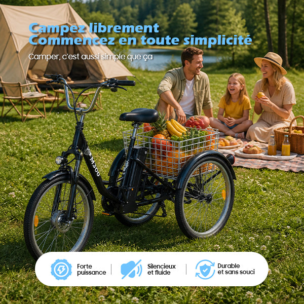 TUNO M300 Electric Tricycle | 3-Wheel Cargo E-Trike, 350W, 40-50 km Range