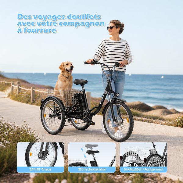 TUNO M300 Electric Tricycle | 3-Wheel Cargo E-Trike, 350W, 40-50 km Range